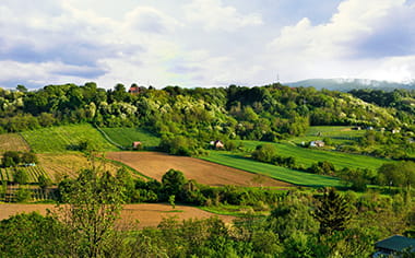 Spring landscape of the National Park Fruska Gora, Serbia